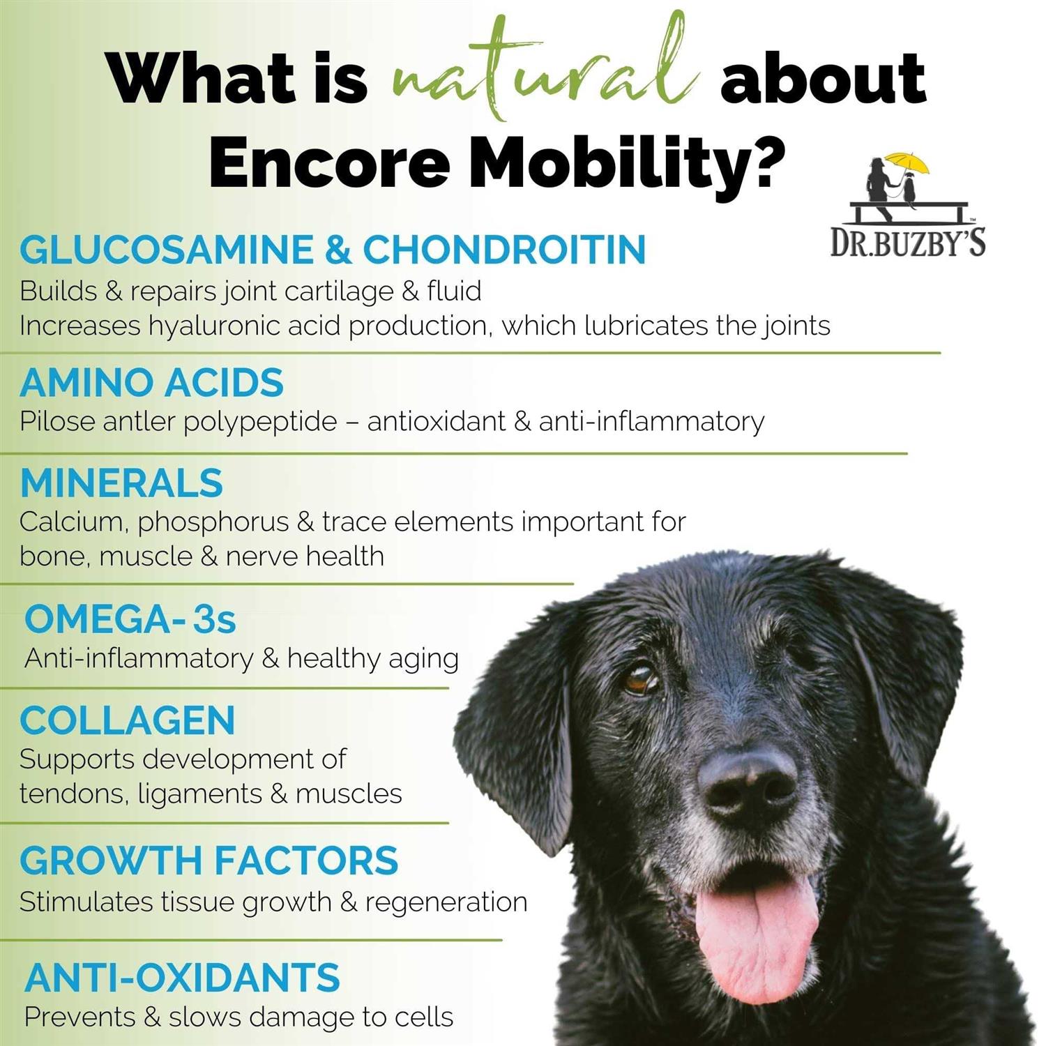 Dr. Buzby’s Encore Mobility Hip & Joint Supplement for Senior Dogs, 90 Chewable Tablets, Natural New Zealand Deer Velvet and Green Lipped Mussel - Healthber