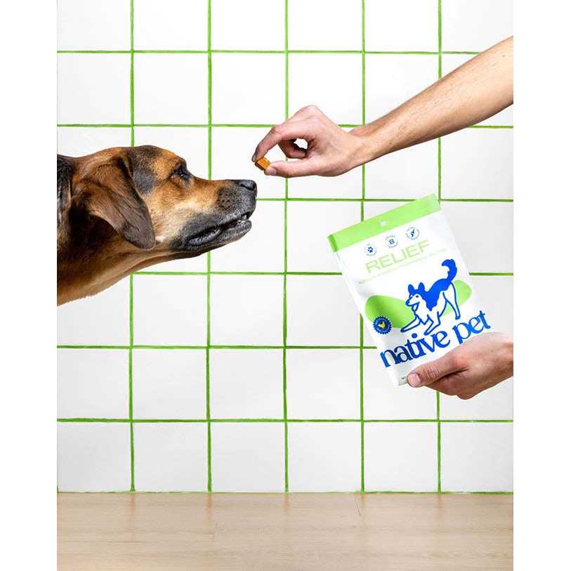 Native Pet Anti Inflammatory Supplement & Dog Joint Relief - Healthber