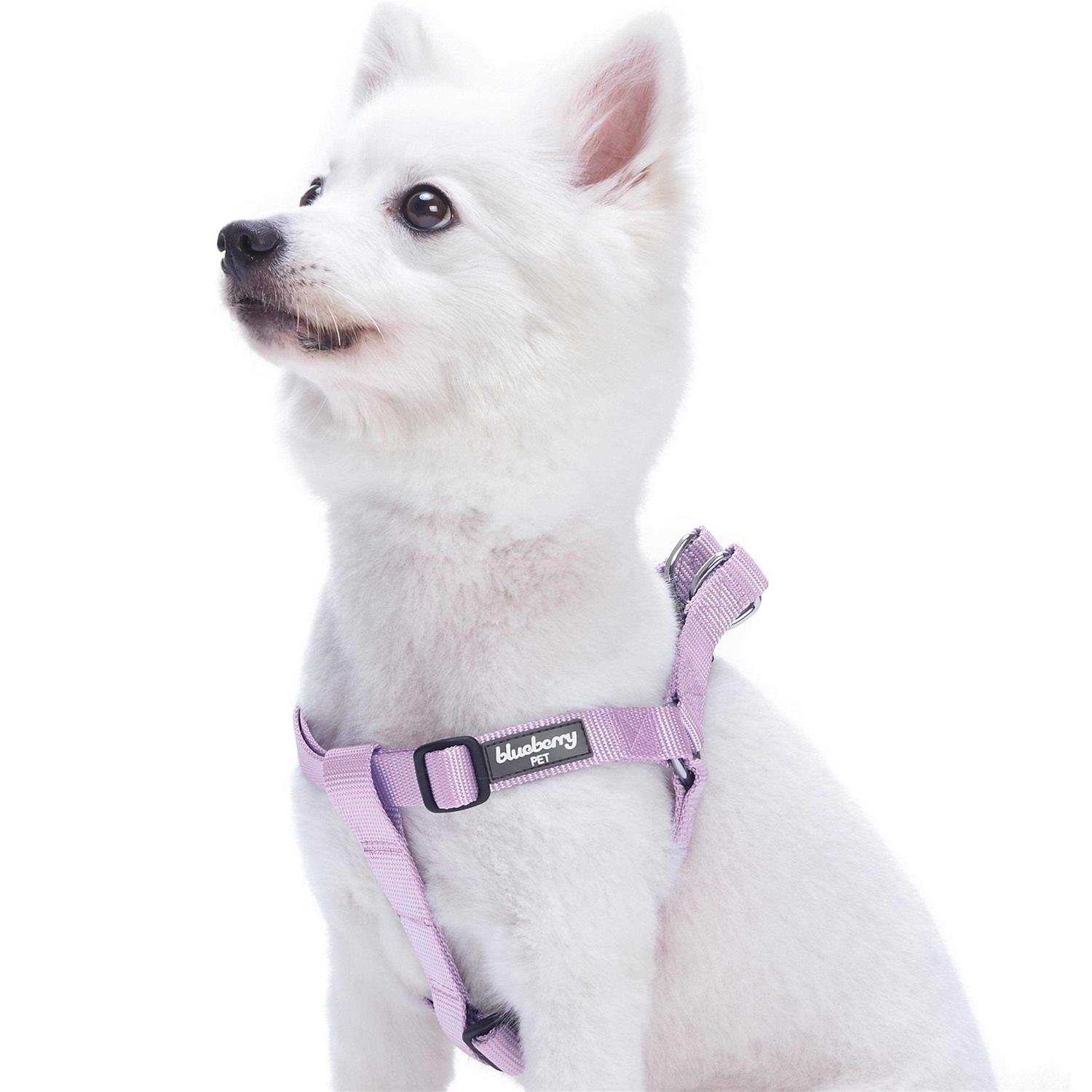 Blueberry Pet Essentials Classic Durable Solid Nylon Step-In Dog Harness - Healthber