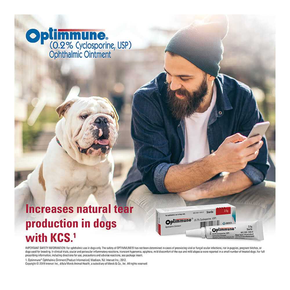 Optimmune Ophthalmic Ointment - Healthber