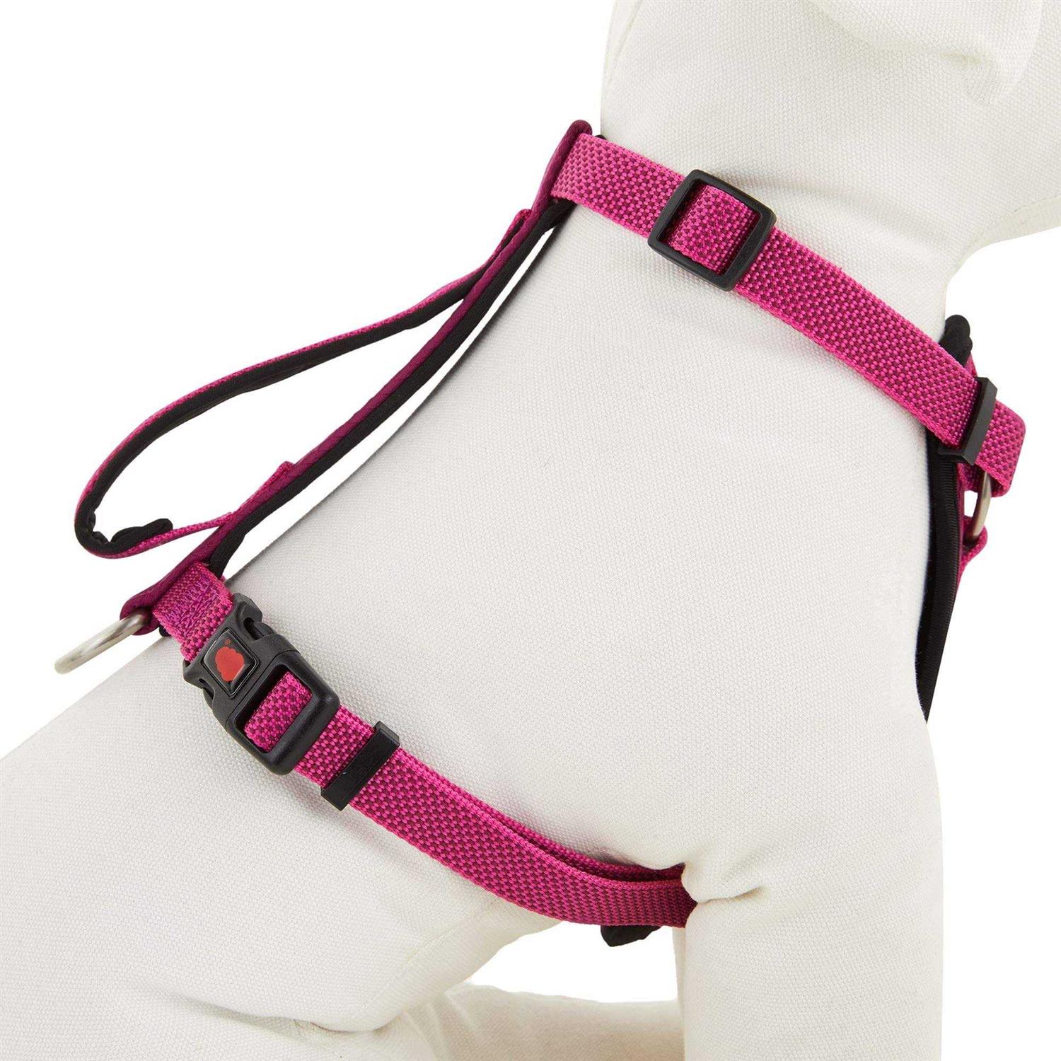 Kong Comfort Padded Chest Plate Dog Harness - Healthber