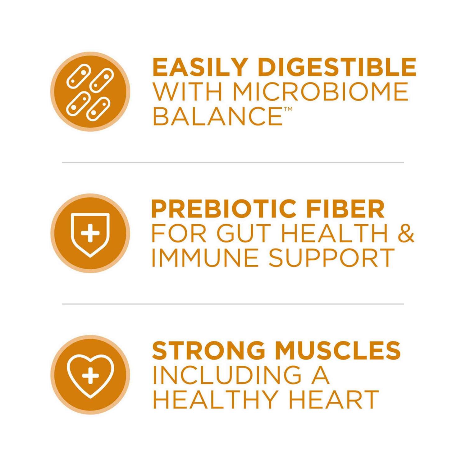 Purina ONE Tender Selects Blend Dry Cat Food With Real Chicken - Healthber
