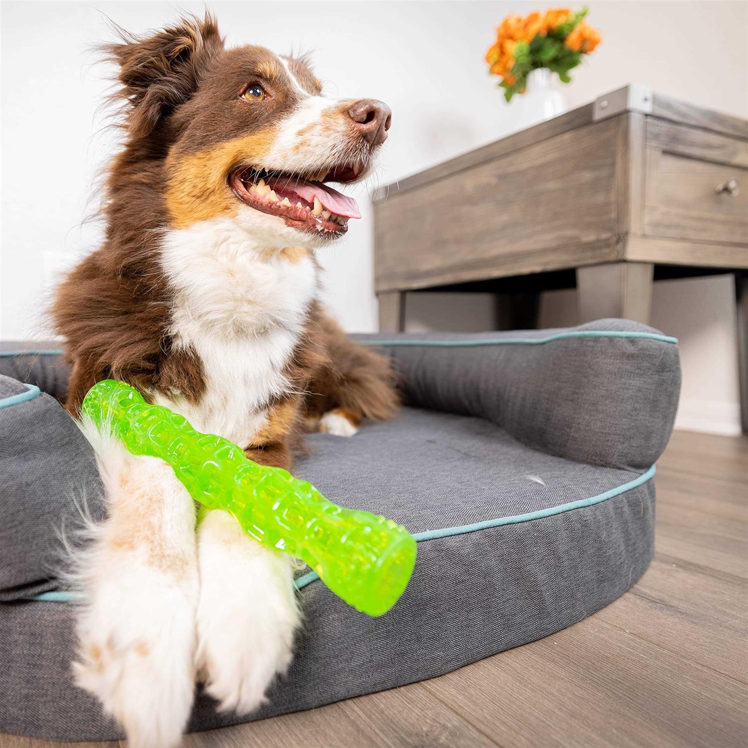 Hyper Pet Dura-Squeaks Dog Toy Stick - Healthber