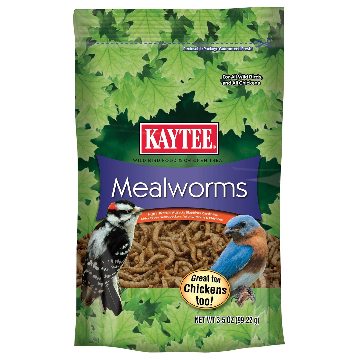 Kaytee Mealworms Bird Food - Healthber