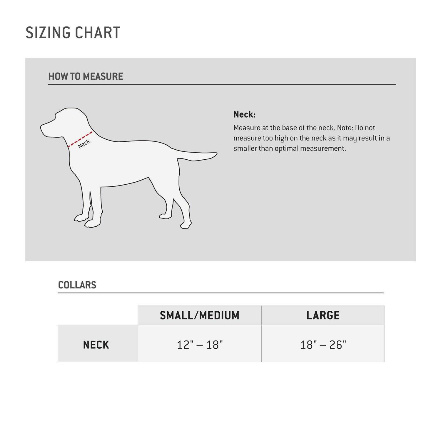 Carhartt Nylon Duck Dog Collar - Healthber