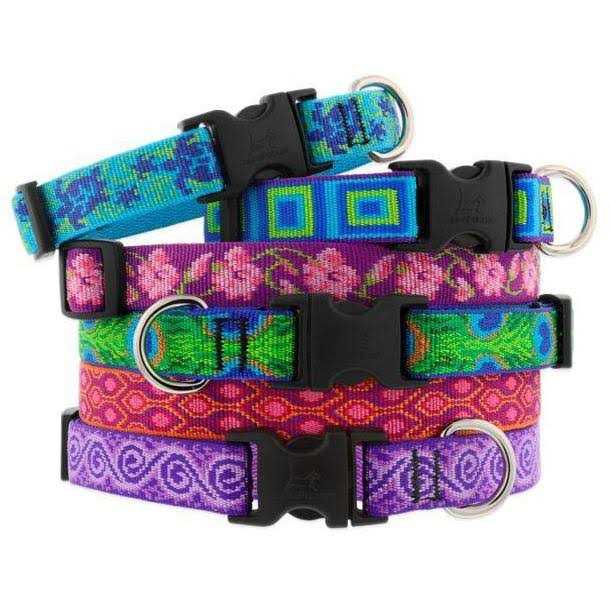 Lupine Dog Collar - Healthber