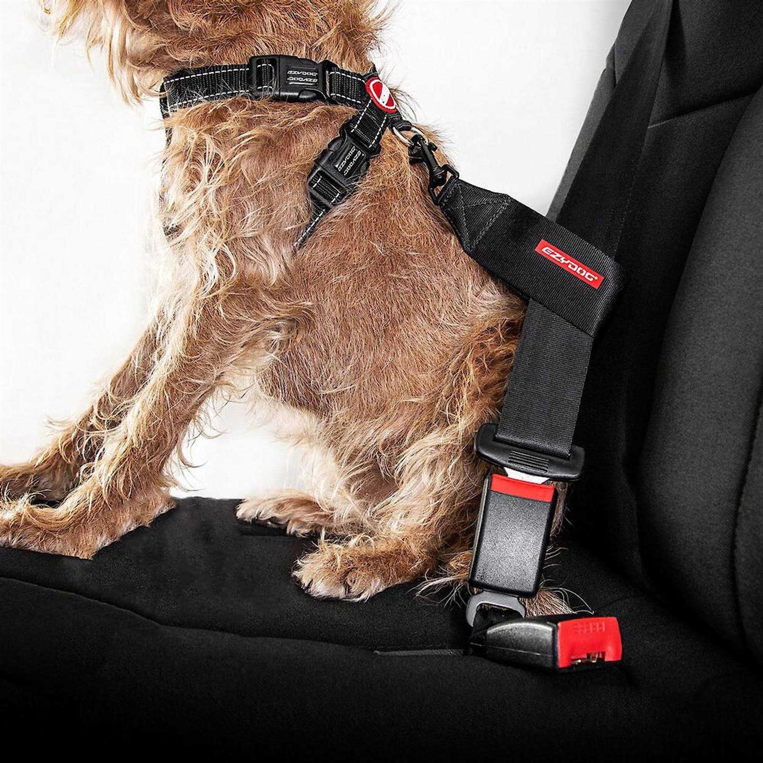 EzyDog Seat Belt Restraint - Healthber