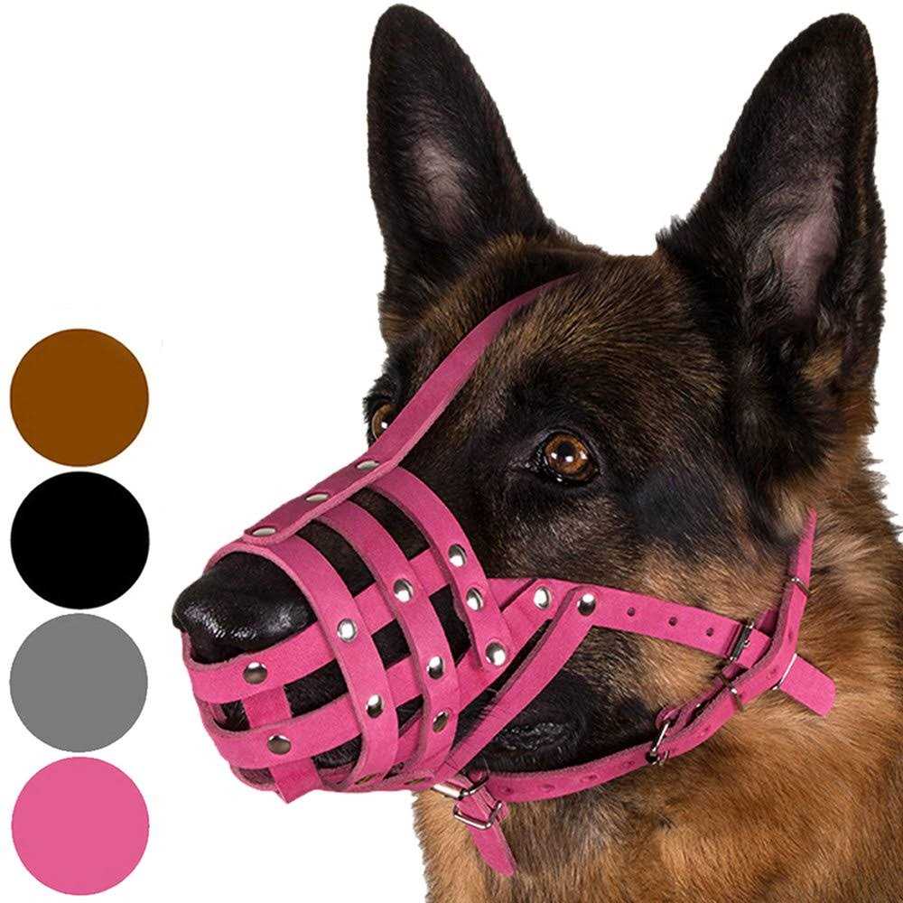CollarDirect Dog Muzzle German Shepherd Dalmatian Doberman Setter Leather Basket Medium Large Breeds - Healthber
