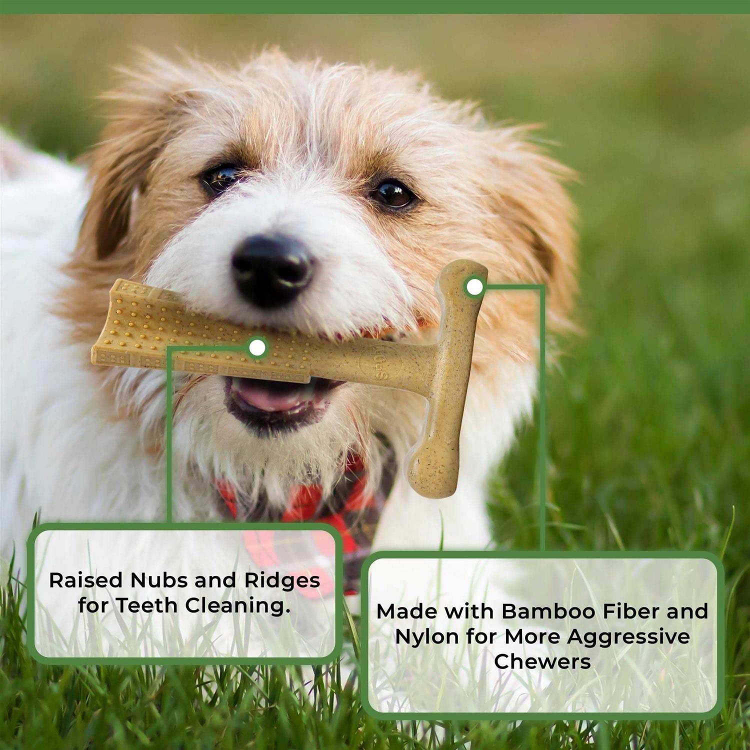 Spot 6-inch Chicken Bambone Plus Dog Chew - Healthber