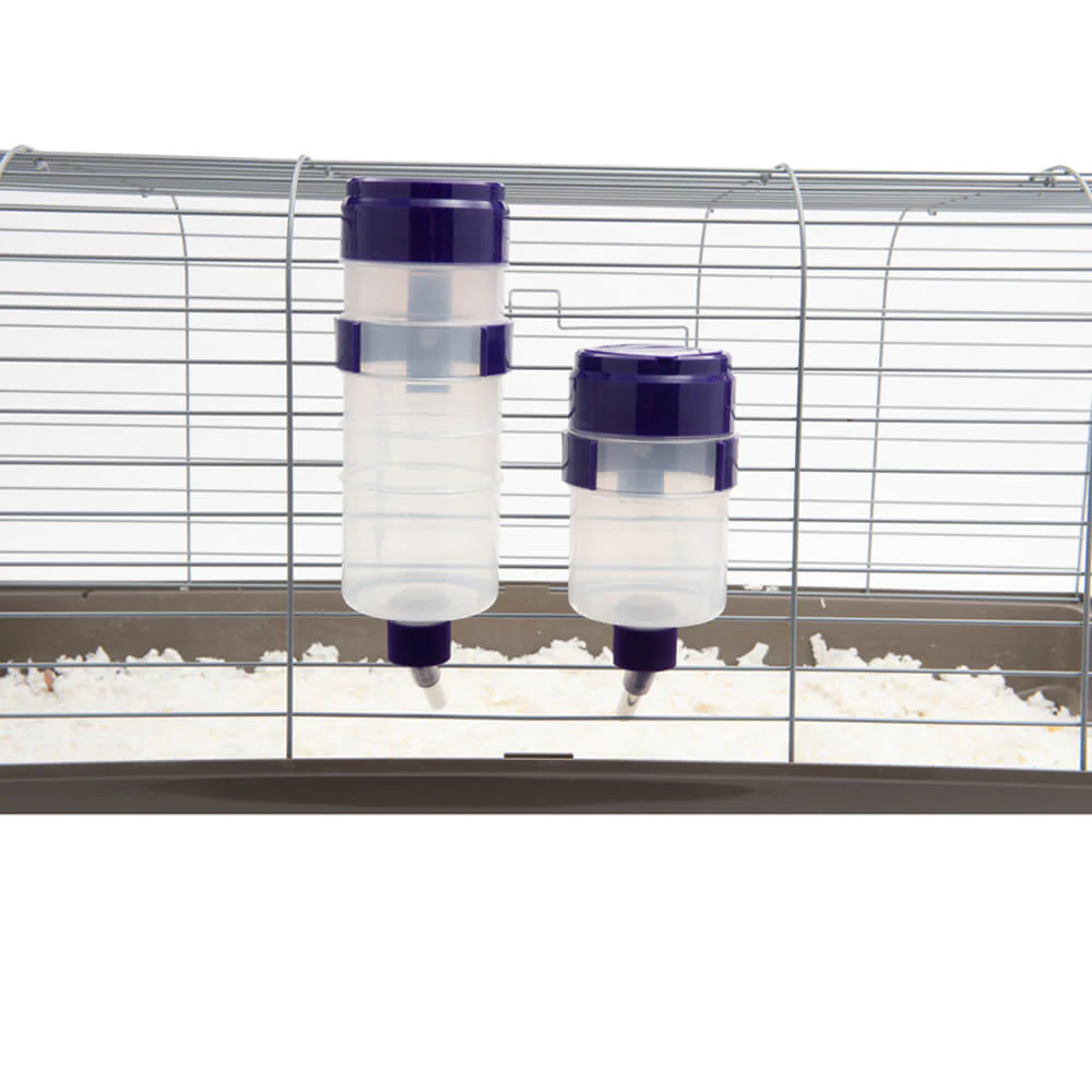 Lixit Quick Lock Flip Top Water Bottle - Healthber