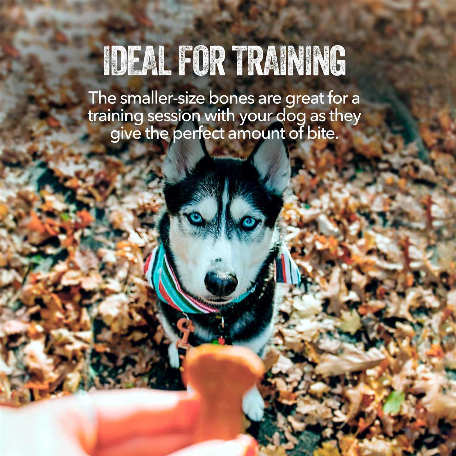 Gaines Family Farmstead Sweet Potato Bones Dog - Healthber