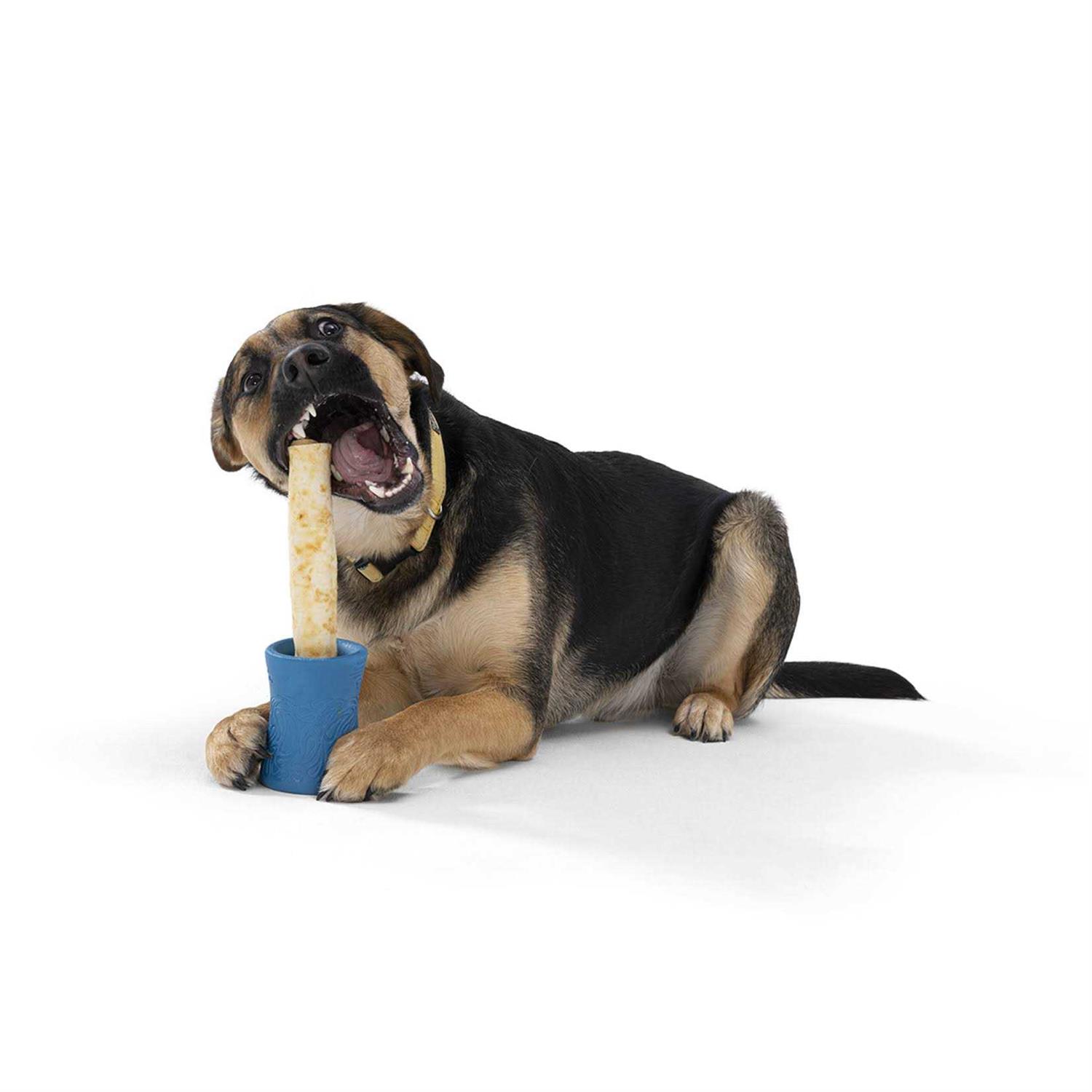 West Paw Funnl Dog Toy - Healthber