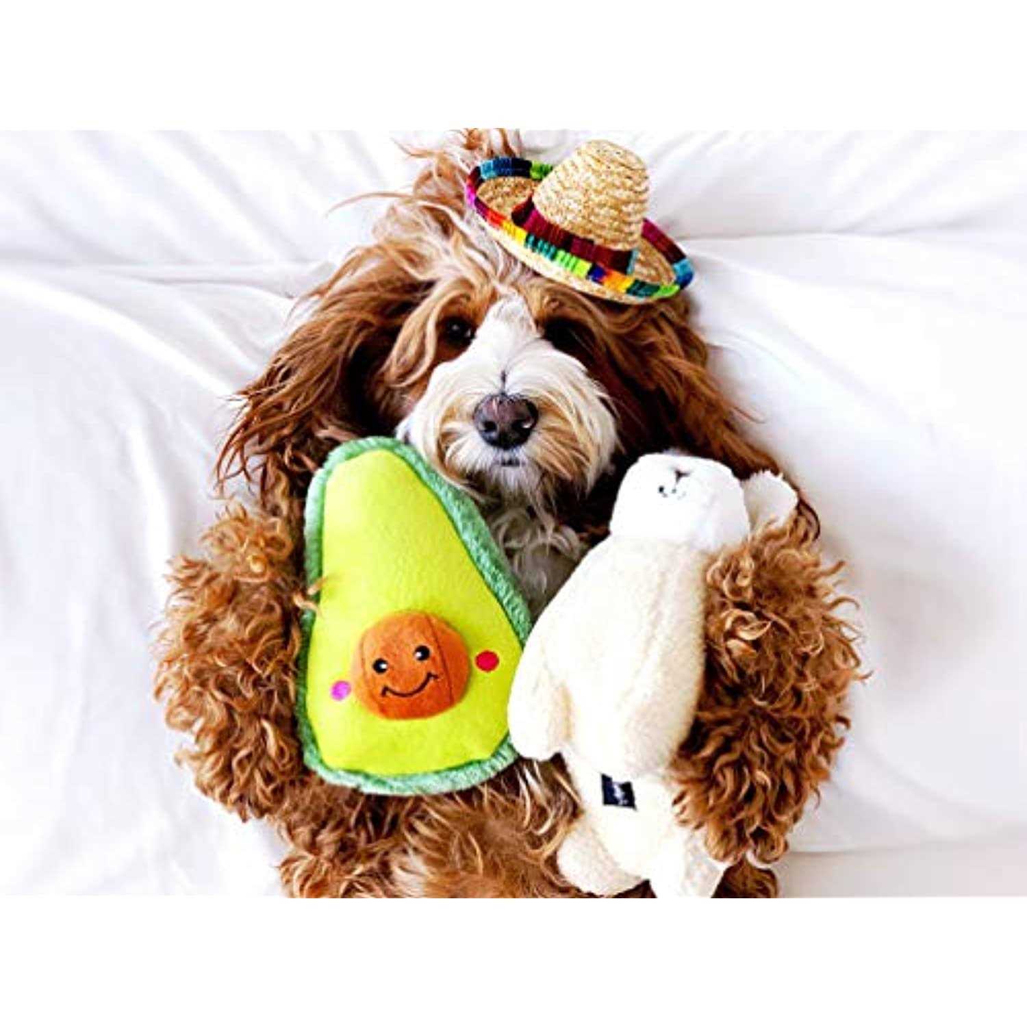 ZippyPaws NomNomz Avocado Dog Toy - Healthber