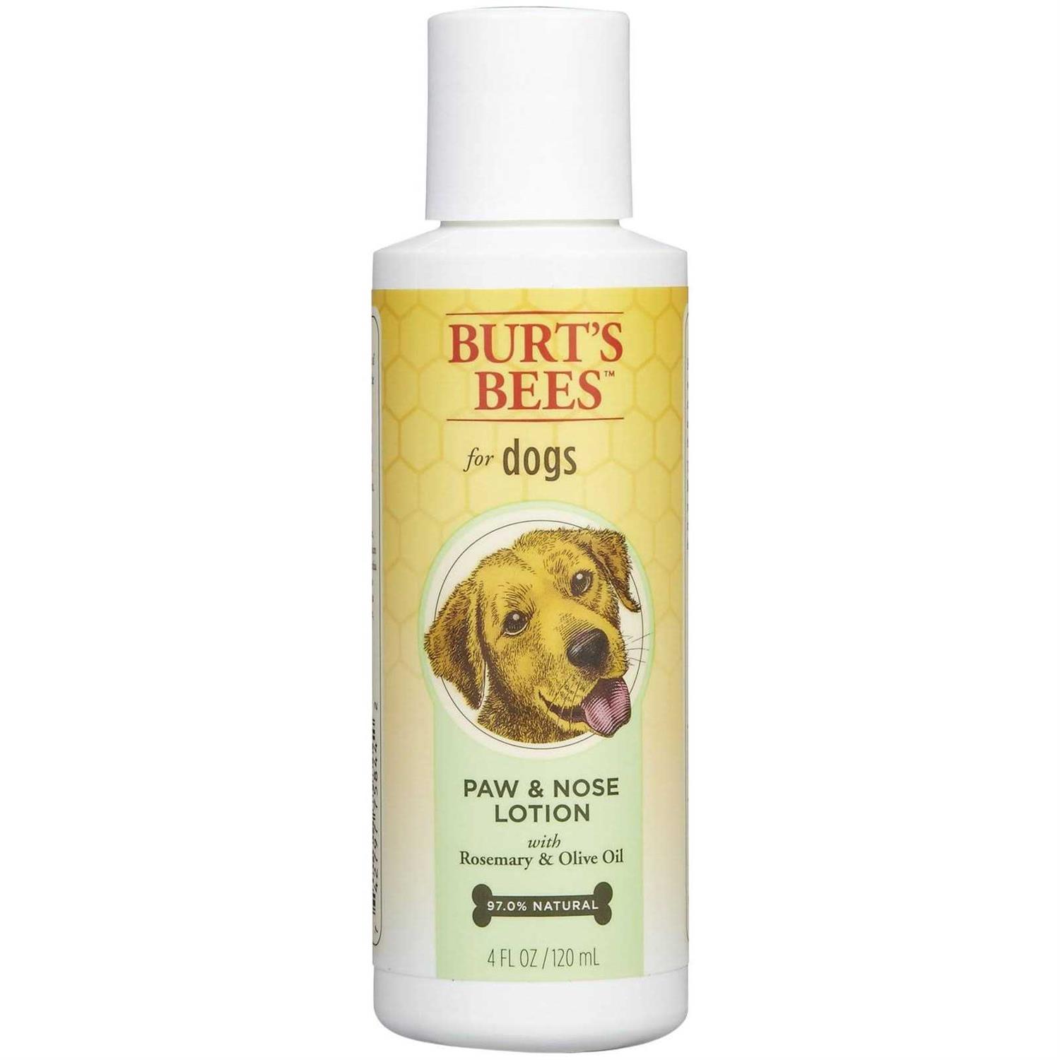 Burt’s Bees Baby Bee Kissable Cheeks Balm - Healthber