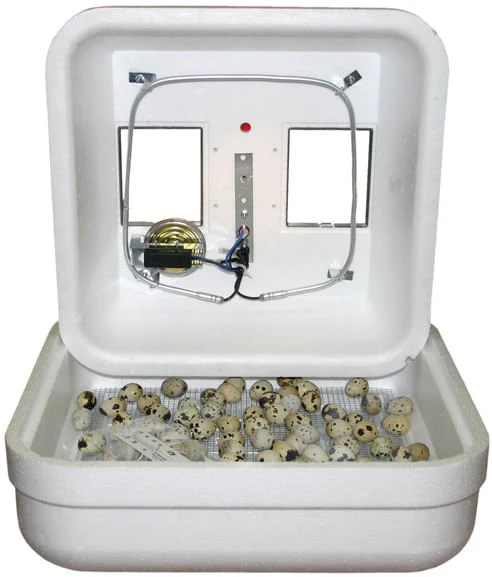 Hova-Bator Low Wattage Still-Air Incubator - Healthber