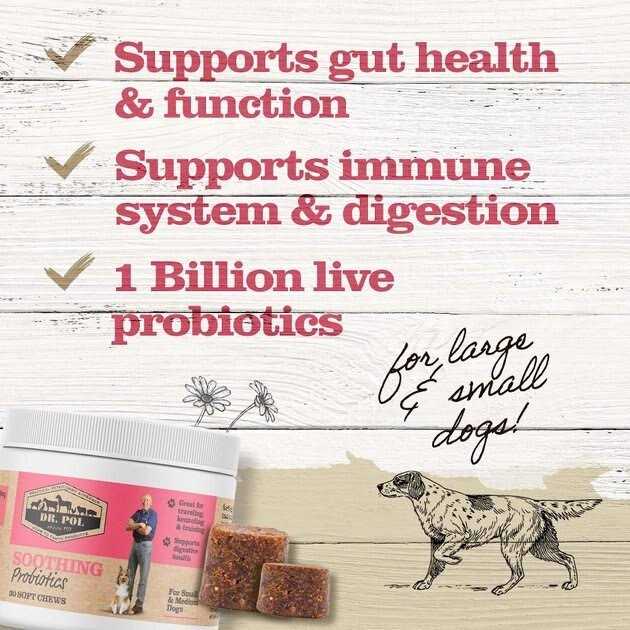 Dr. Pol Probiotic Chews for Dogs Small & Medium - Healthber