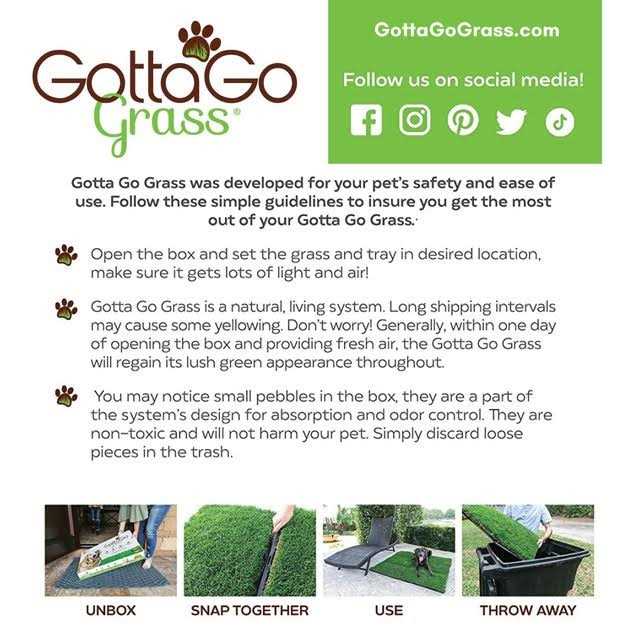 Gotta Go Grass with Tray - Healthber