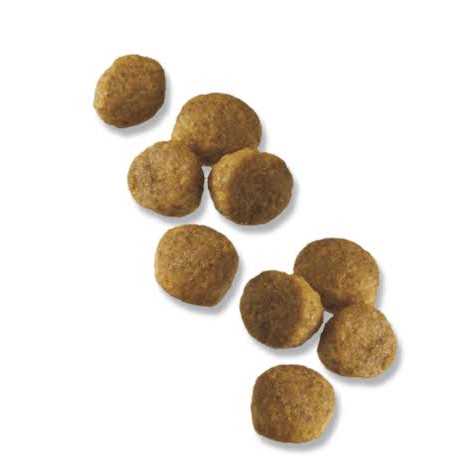 Purina Pro Plan Chicken & Rice Formula Puppy Small Breed Dry Dog Food - Healthber