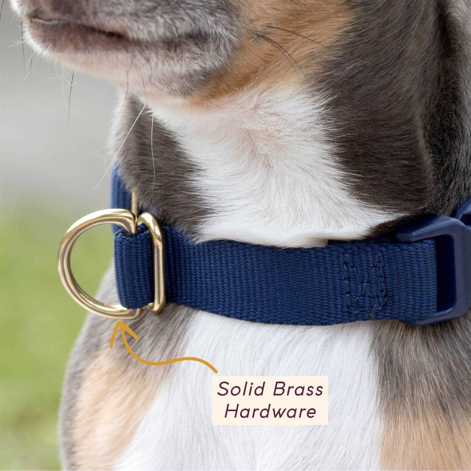 Awoo Pack Standard Dog Collar - Healthber