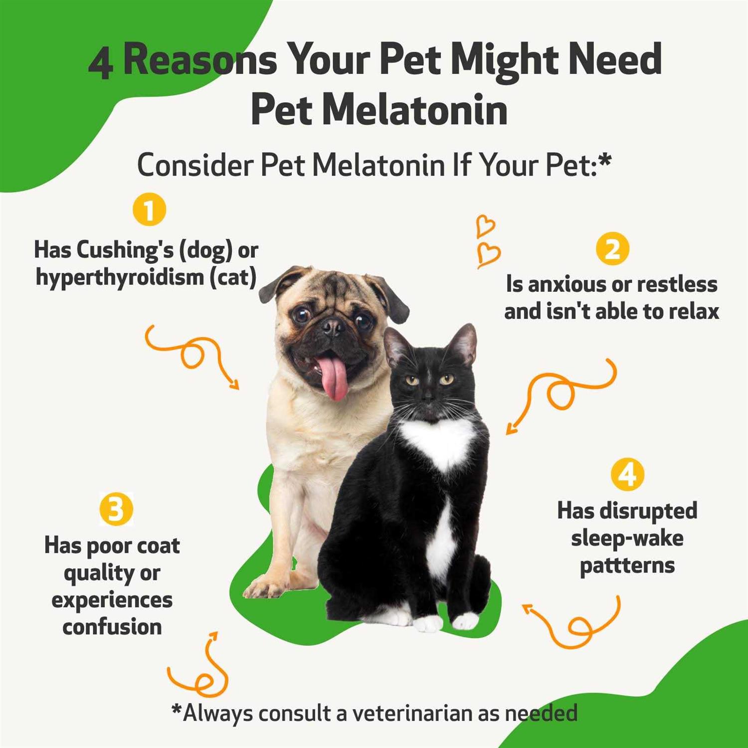 Pet Melatonin for Dogs - Healthber