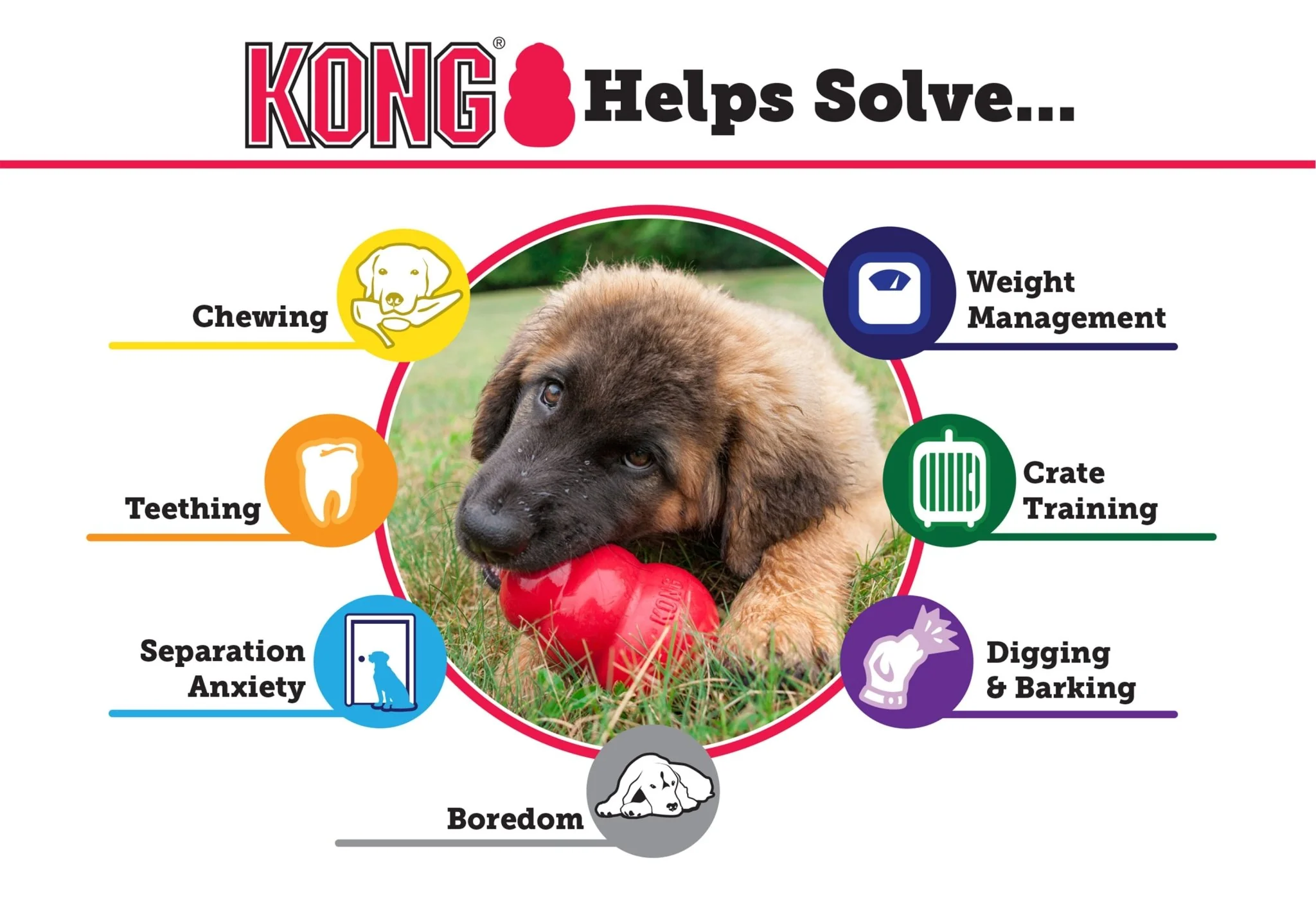 KONG Extreme Dog Toy for Power Chewers - Healthber