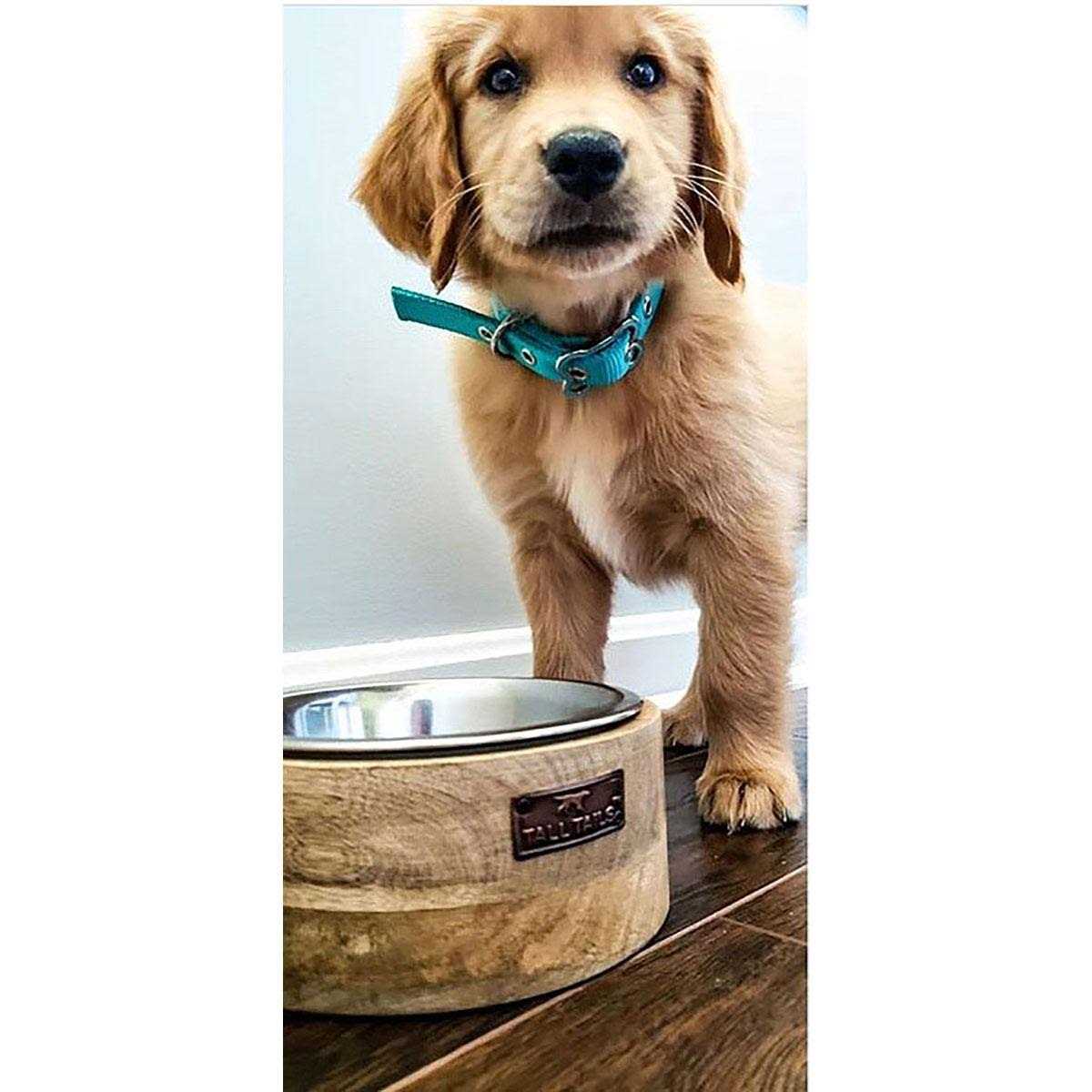 Tall Tails Wood Designer Dog Bowl - Healthber