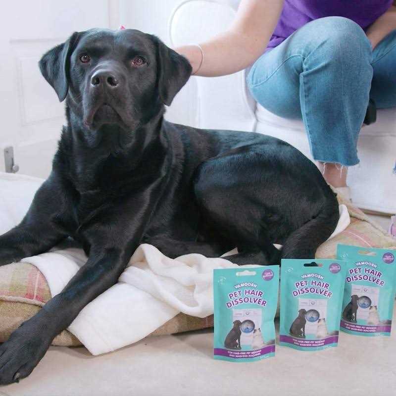 Vamoosh Pet Hair Dissolver - Healthber