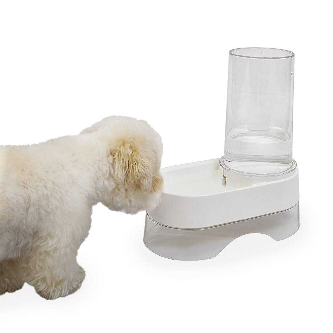 Richell Elevated Gravity Pet Water Dispenser - Healthber