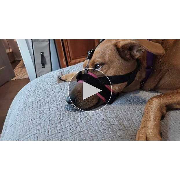 GoodBoy Gentle Muzzle Guard for Dogs Prevents Biting and Unwanted Chewing Safely Secure Comfort Fit - Healthber