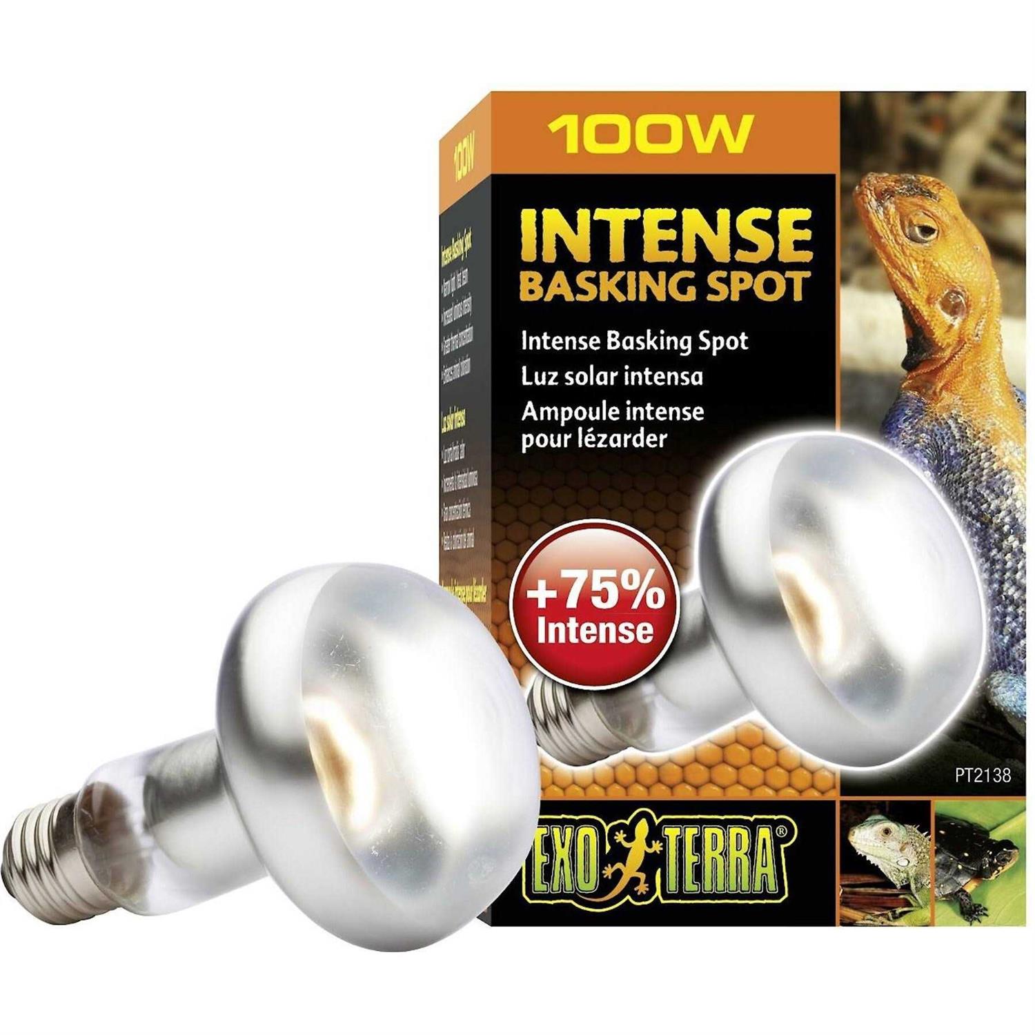 Exo Terra Intense Basking Spot - Healthber