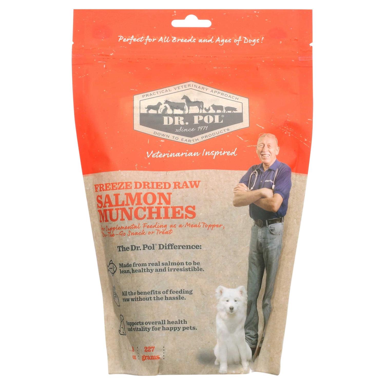 Dr. Pol Freeze Dried Munchies Salmon Dog Treat and Meal Topper - Healthber