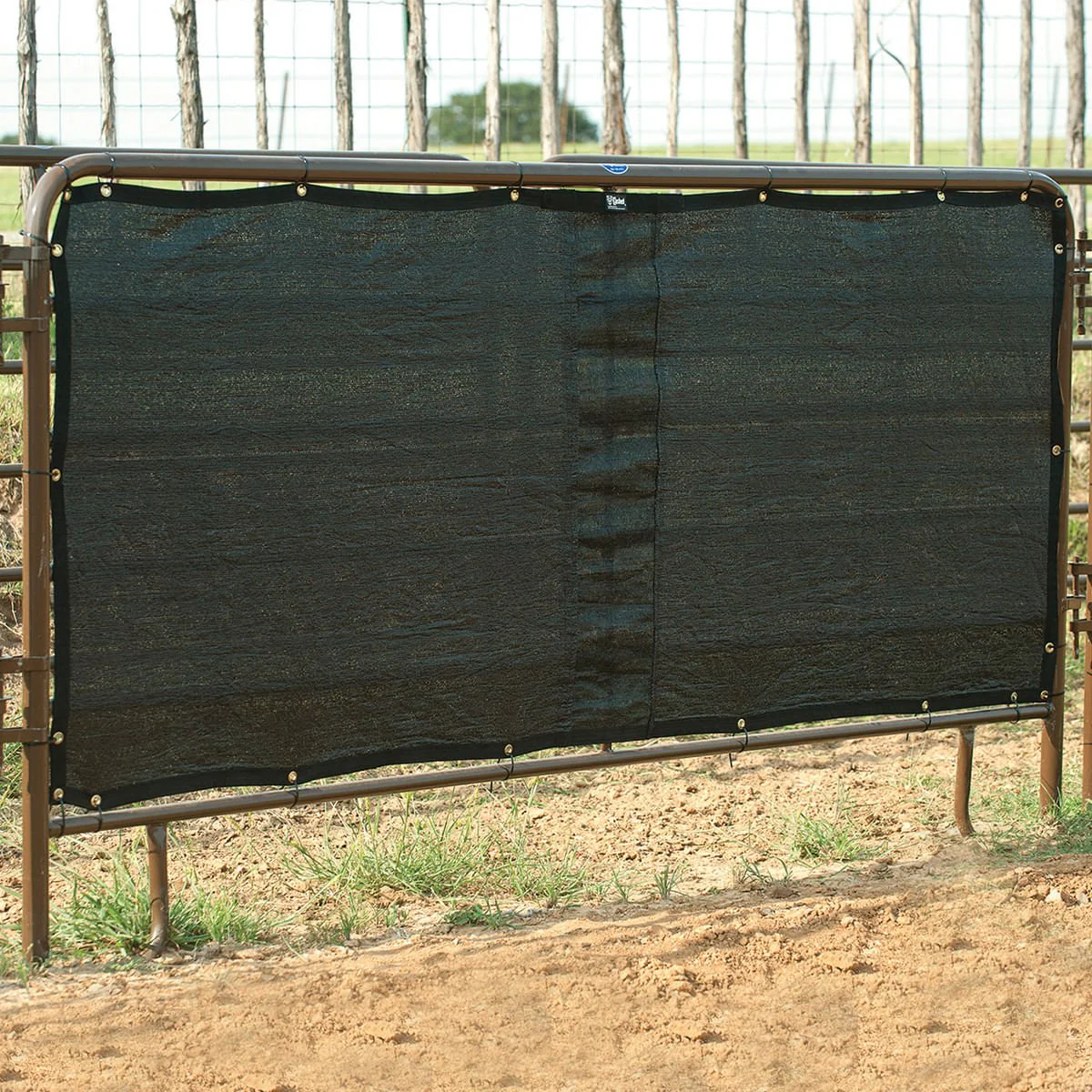 Panel Screen - Healthber