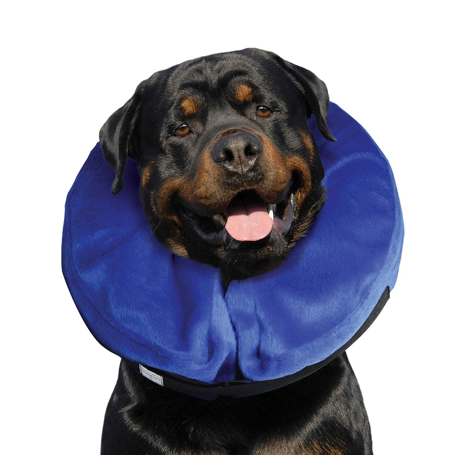 Kong Cloud Collar - Healthber