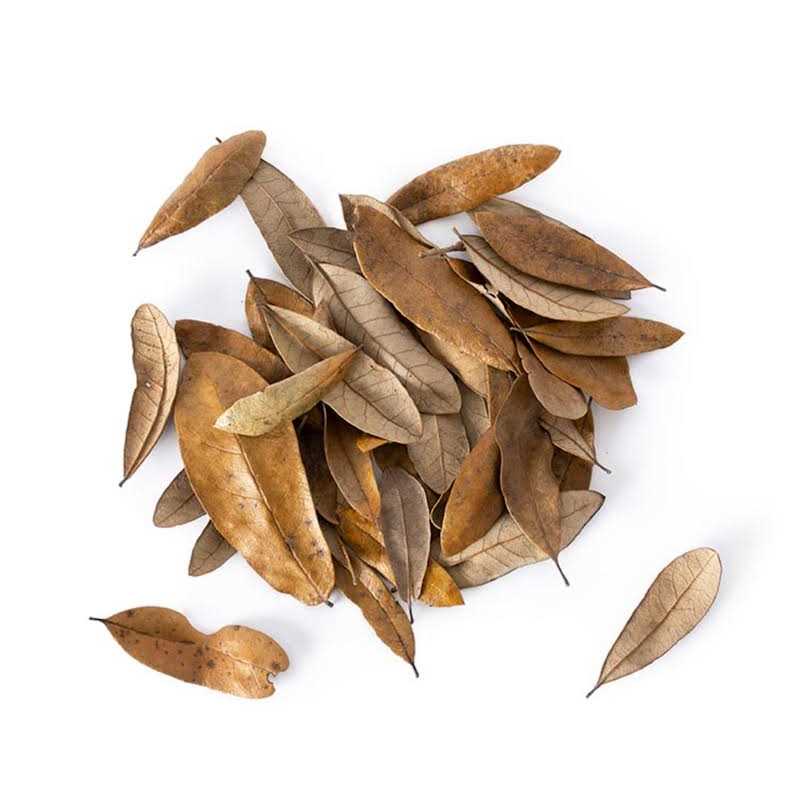 Galapagos 4 qt. Natural Live Oak Leaf Litter - Healthber