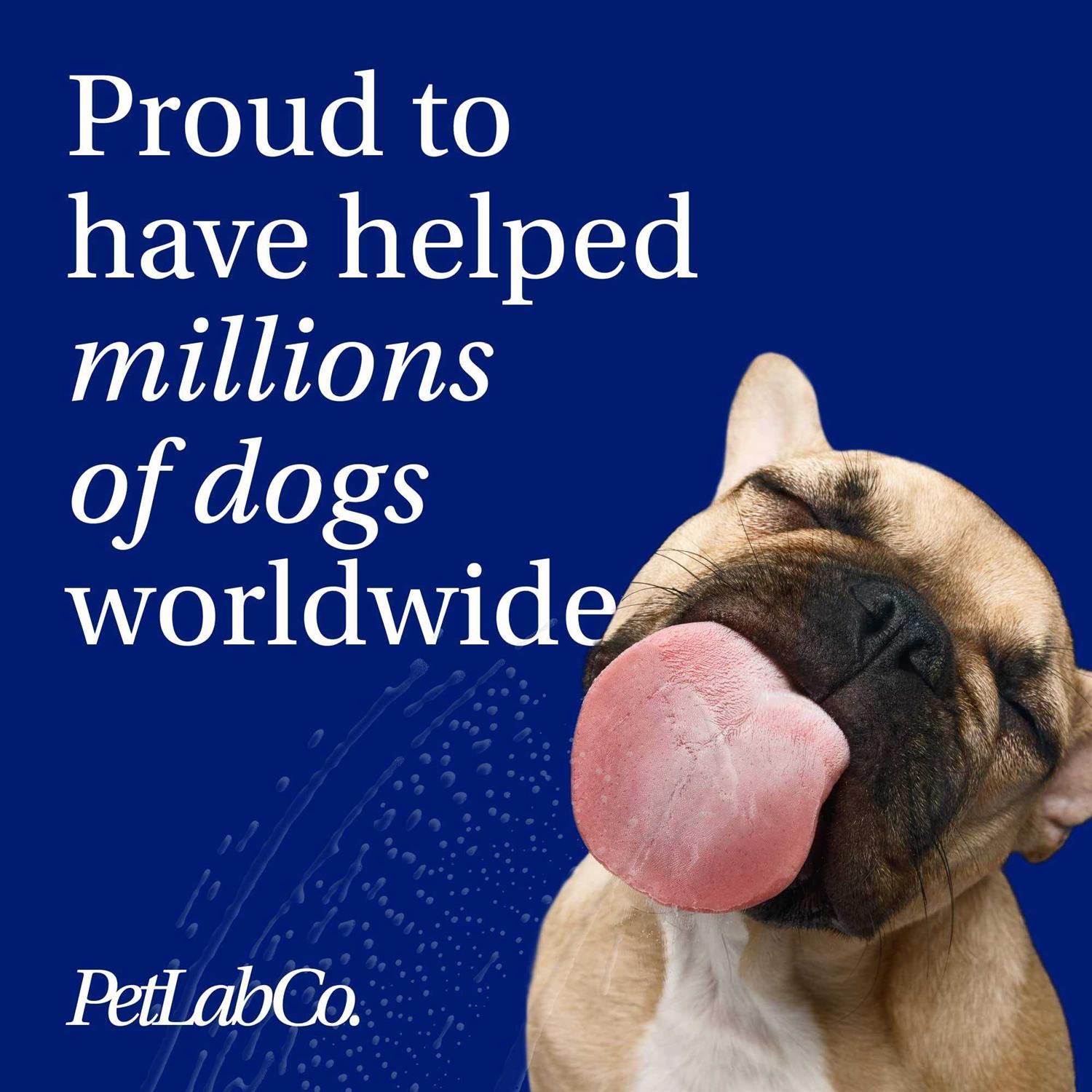 PetLab Co. Allergy & Immune Support Your Pup with Seasonal Allergies - Healthber