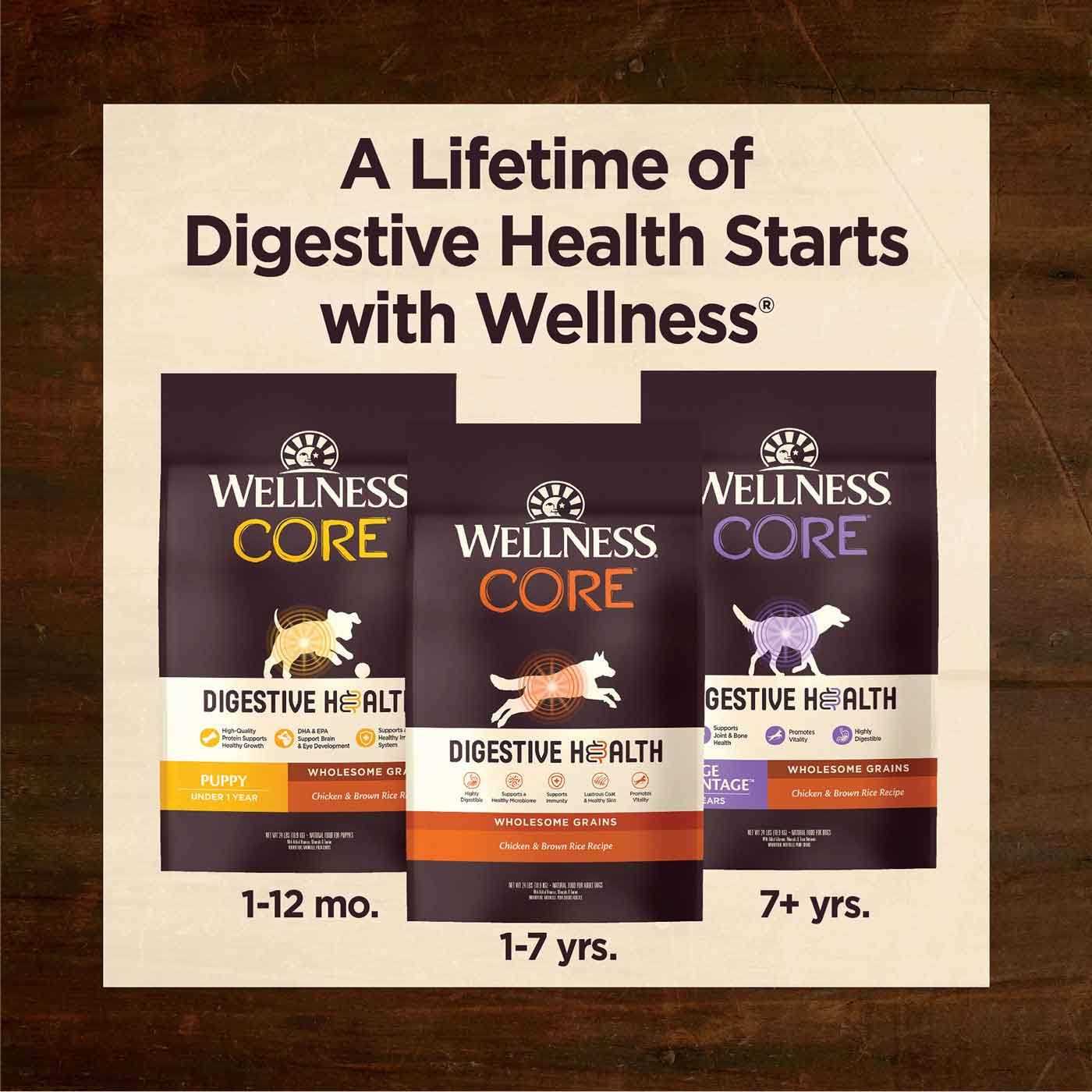 Wellness Core Digestive Health Senior Dry Dog Food - Healthber