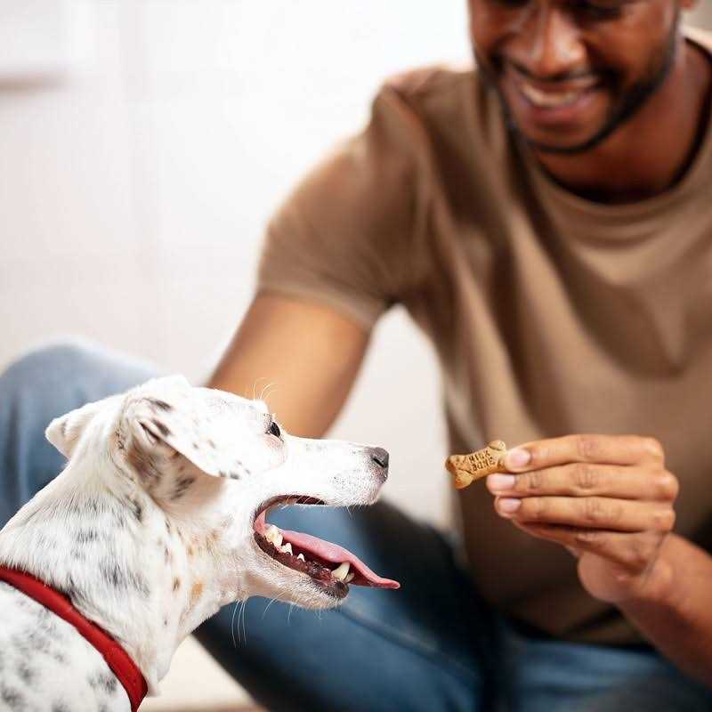 Milk-Bone Flavor Snacks Dog Treats Mini - Healthber