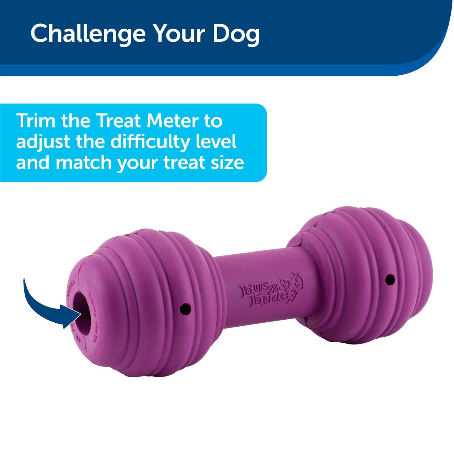 Busy Buddy Chuckle Dog Toy - Healthber