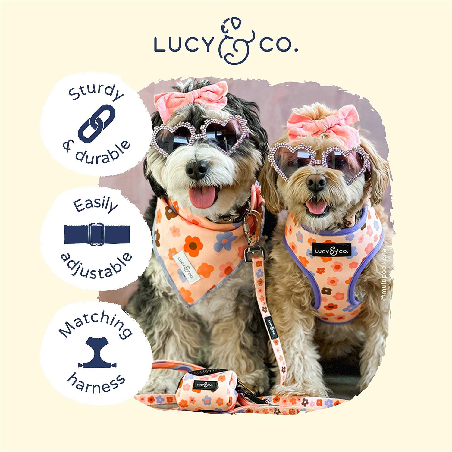 Lucy & Co. Have A Nice Day Dog Collar – Durable Lightweight Designer Collar for Pets – Adjustable Metal Safety Buckel – Lime Green Blue Checker – - Healthber