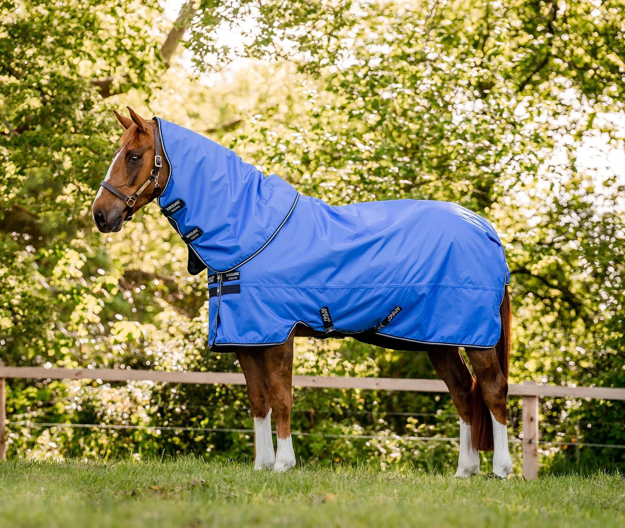 Amigo Hero Ripstop Plus Lightweight Horse Turnout Blanket - Healthber