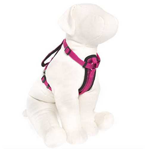 Kong Comfort Padded Chest Plate Dog Harness - Healthber