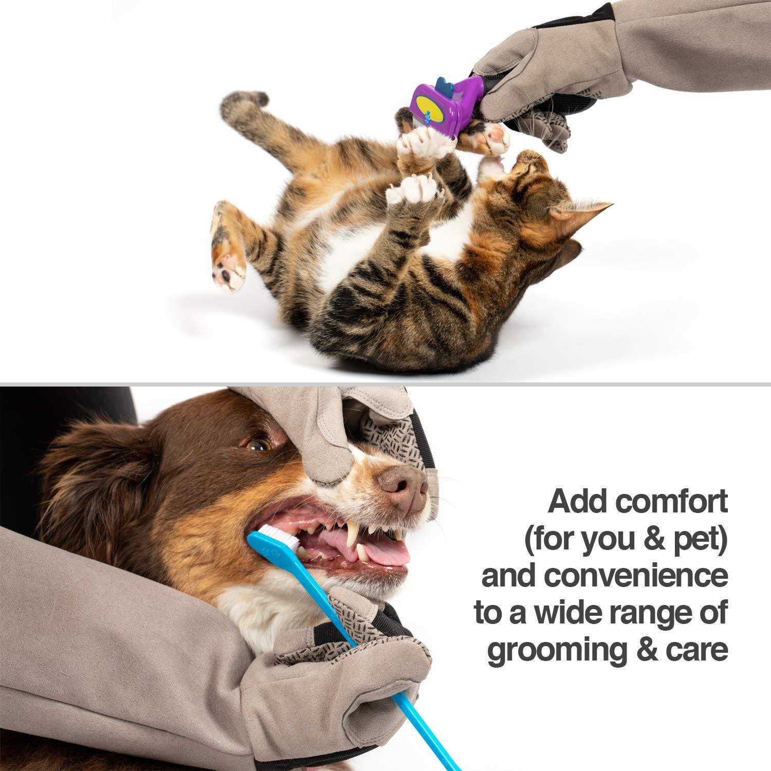 PetFusion Multipurpose Pet Glove for Grooming - Healthber