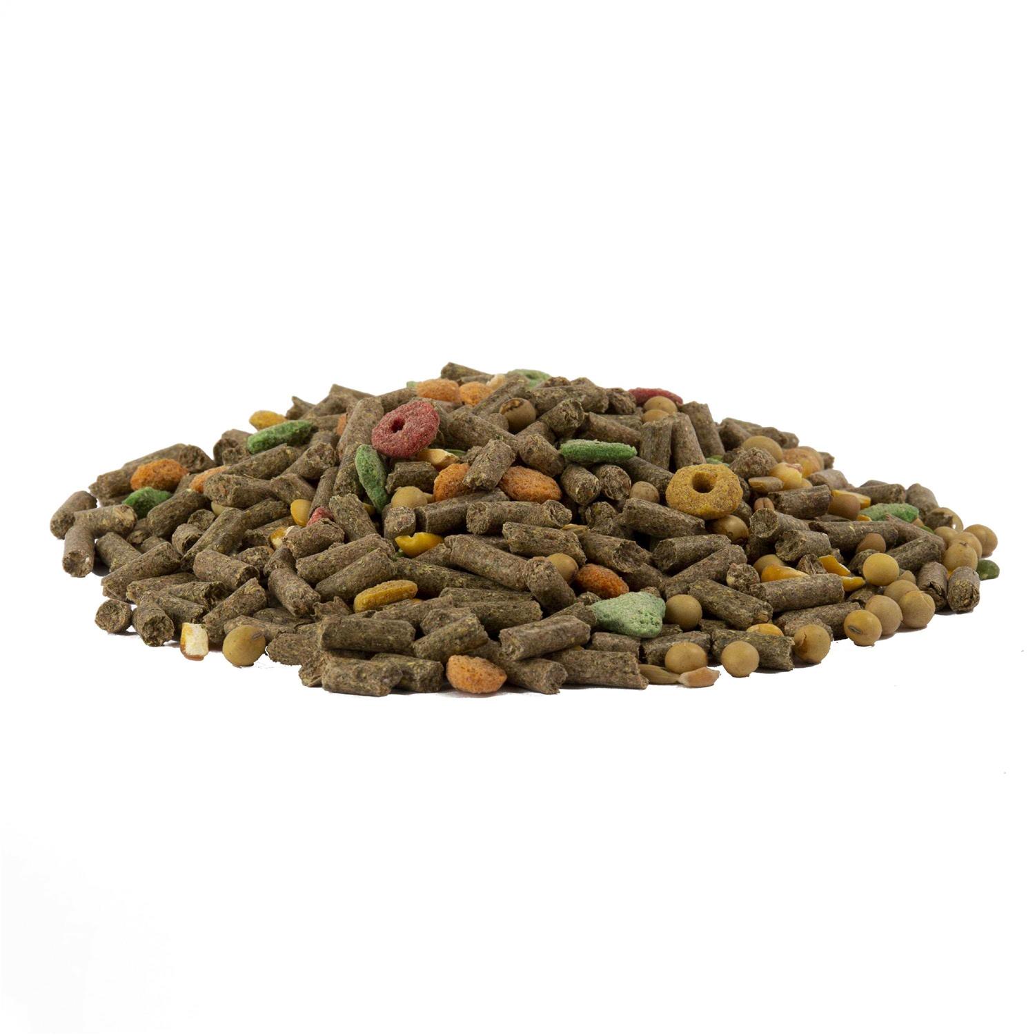 Wild Harvest Guinea Pig Advanced Nutrition Diet - Healthber