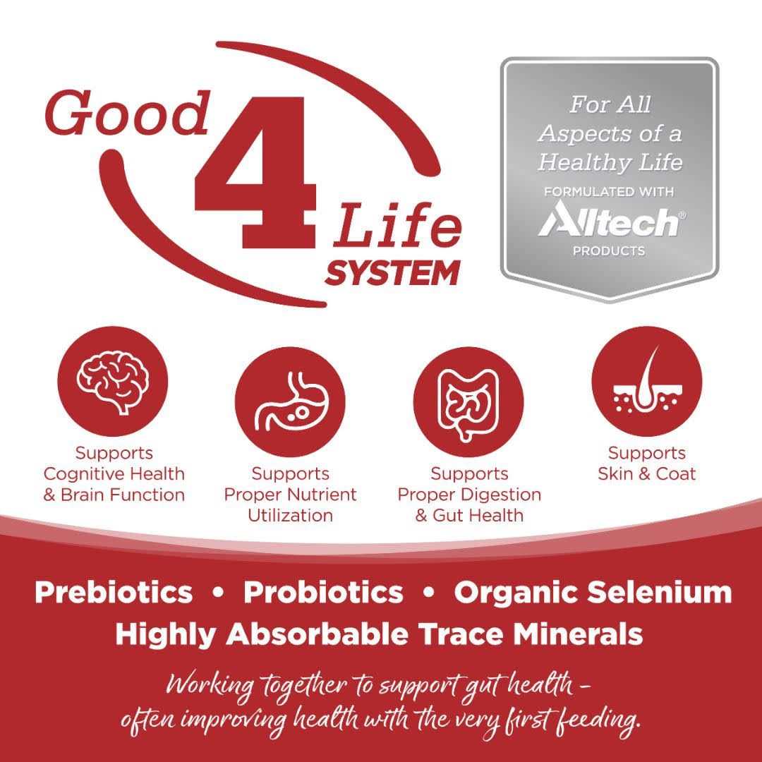 PureVita Beef & Red Lentils Grain Free Dry Dog Food - Healthber