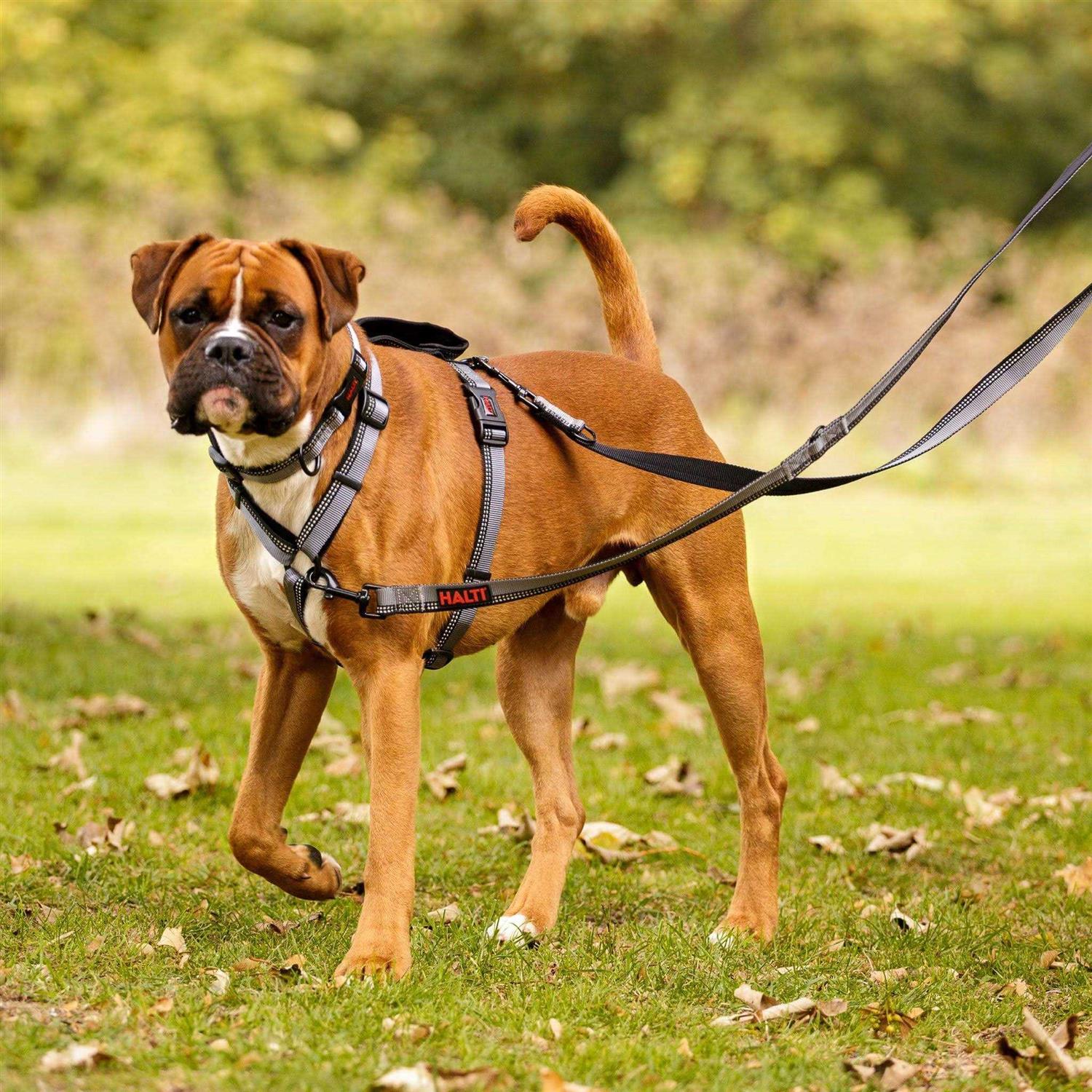 Halti Double Ended Lead Dog Leash - Healthber