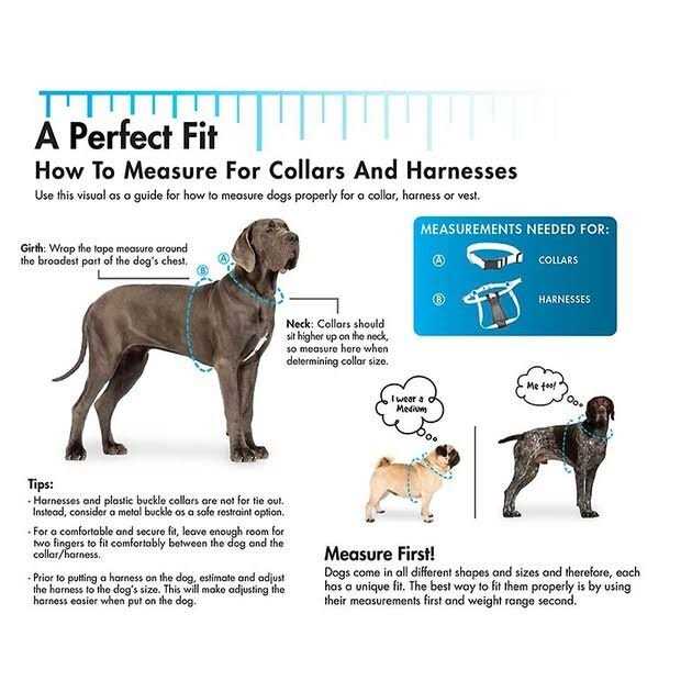 SecureAway Dog Flea Collar Protector Bones - Healthber