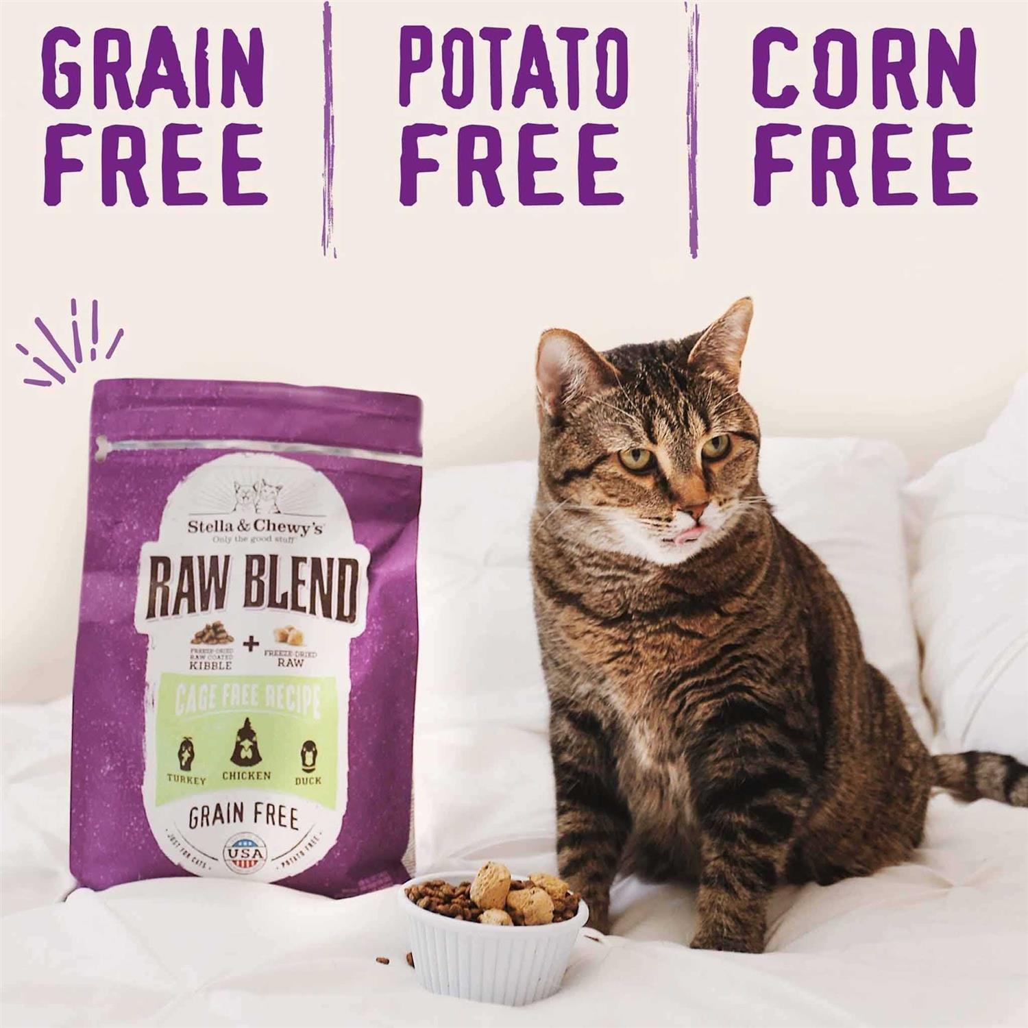 Stella Chewy’s Raw Blend Cage-Free Recipe Dry Cat Food - Healthber