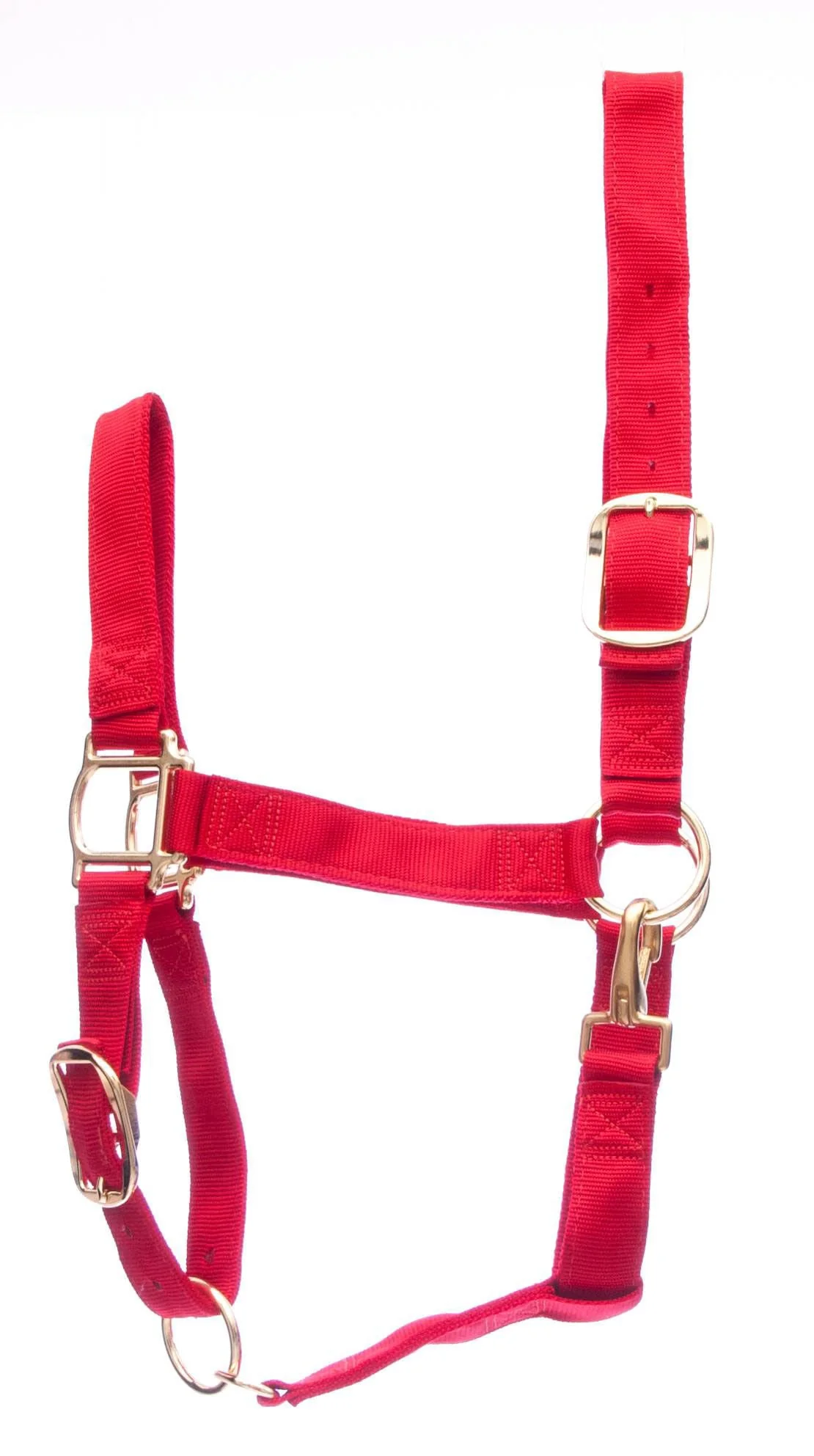 Weaver Draft Horse Halter, Regular (1400 - 1700 lb) - Healthber