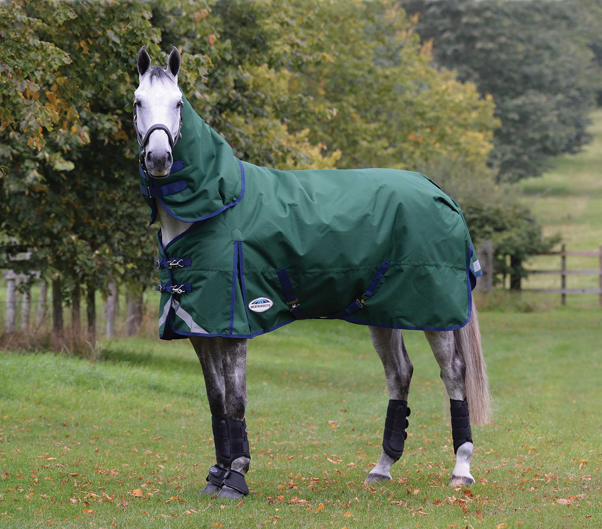 Weatherbeeta ComFITec Plus Dynamic II Detach-A-Neck Heavy Turnout Blanket for Horses - Healthber