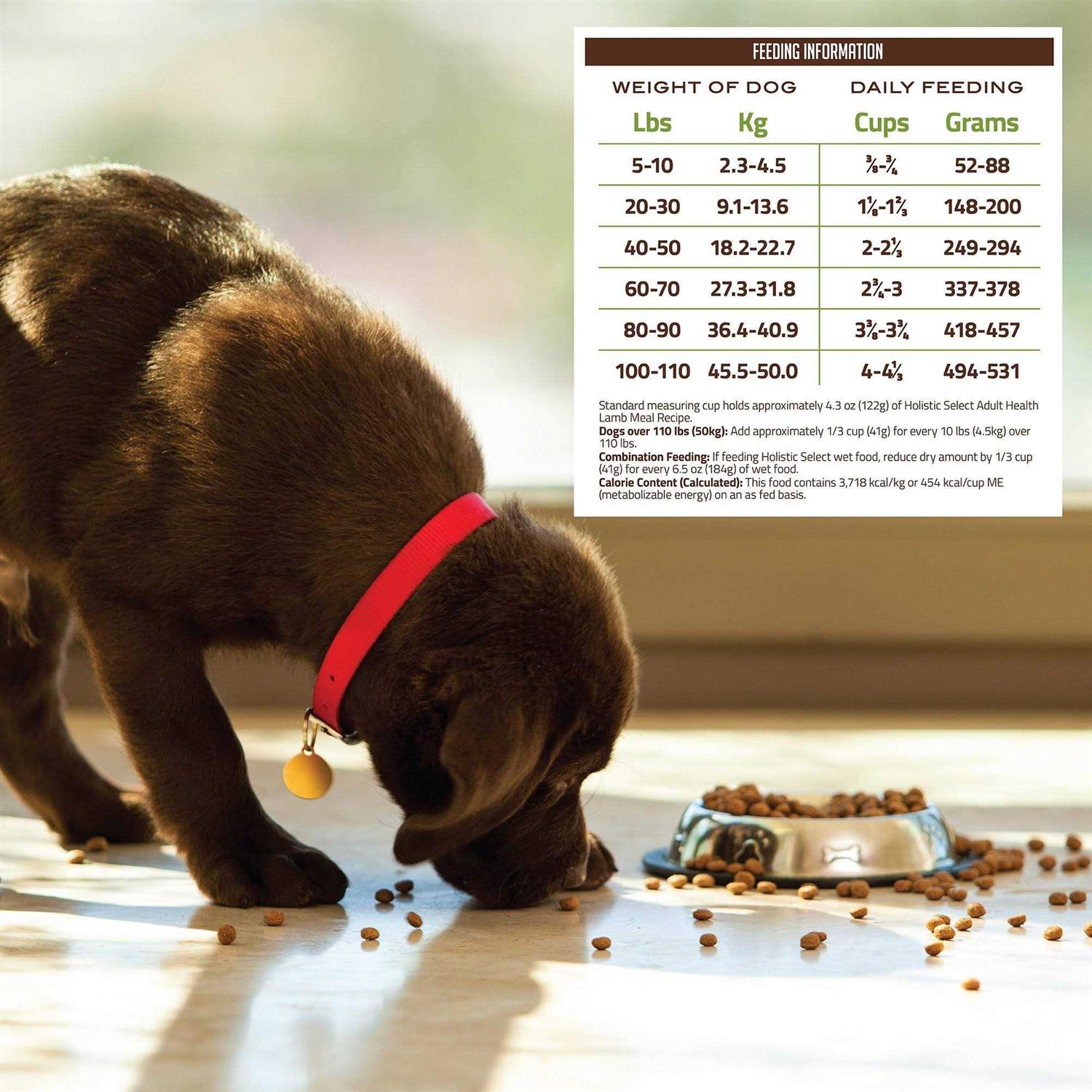 Holistic Select Adult Health Lamb Meal Recipe Dry Dog Food - Healthber